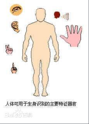 生物識別防偽技術(shù)